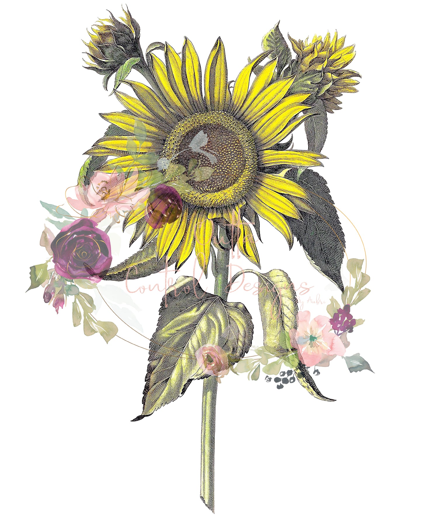 Vintage Sunflower Ready To Press Sublimation and DTF Transfer